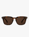 Harbor Polarized Sunglasses in Tortoise and Brown Polarized, front view on a light gray studio background
