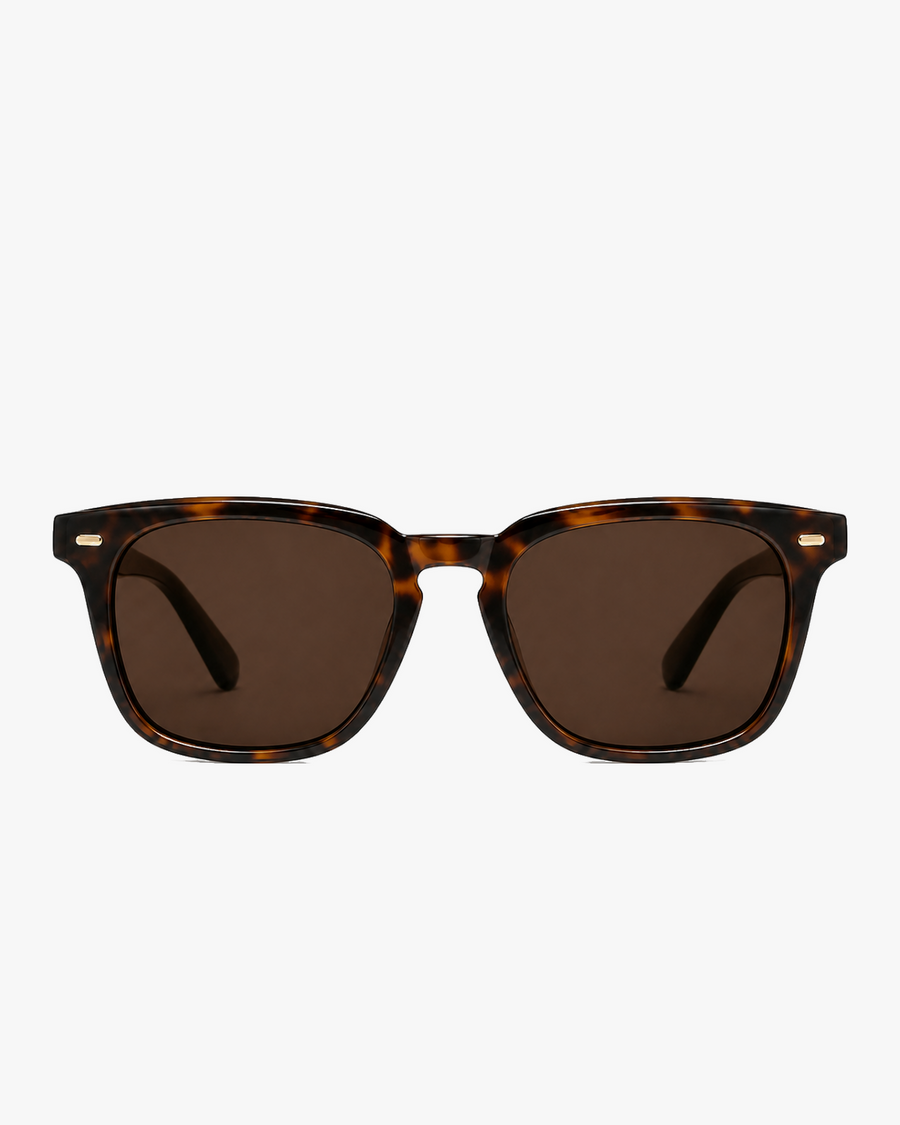 Harbor Polarized Sunglasses in Tortoise and Brown Polarized, front view on a light gray studio background